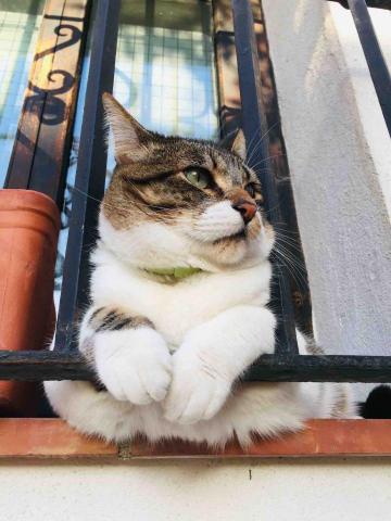 提供edm服務的專家Chao