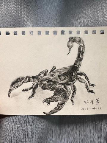 林螢萱個人工作室 - 