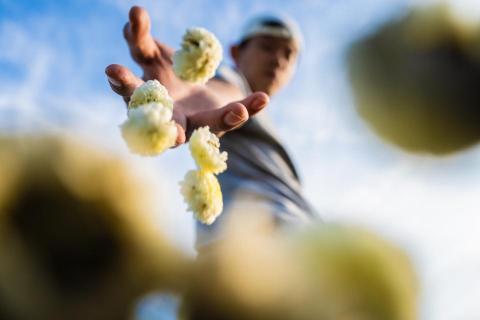 卡爾影像工作室 - 視覺創作 卡爾影像工作室 - 視覺創作