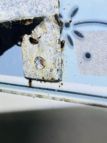 昌盛消毒有限公司 - 