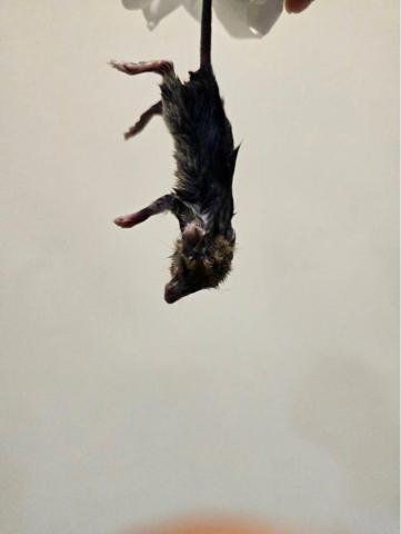 昌盛消毒有限公司 - 