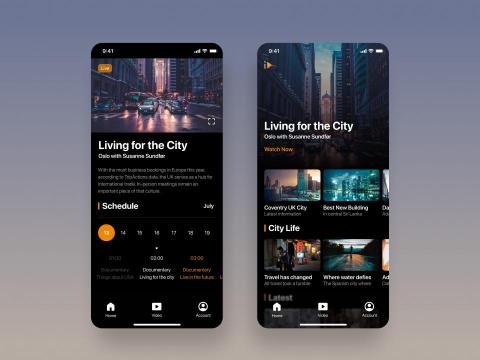 Ted - 紀錄片串流平台設計