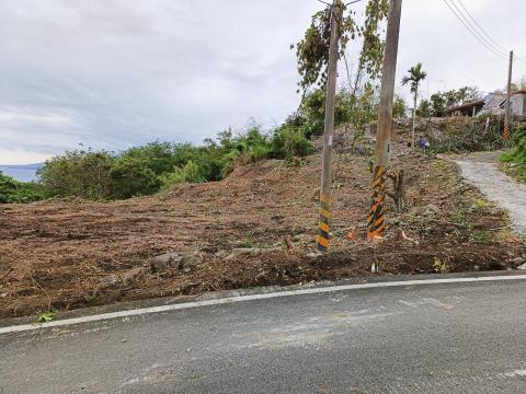 林忠興 - 長濱崎腳雜草雜樹挖除整地