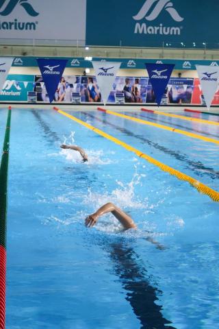 Will Swim 威爾泳訓 - 