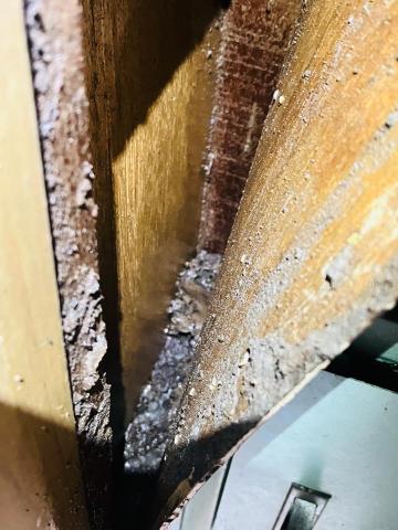 昌盛消毒有限公司 - 