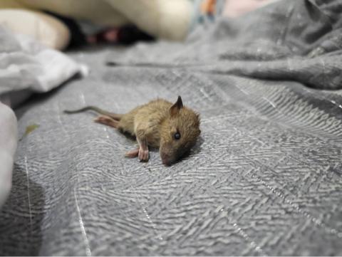 昌盛消毒有限公司 - 