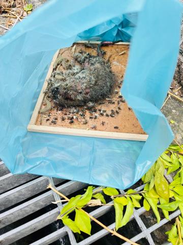 昌盛消毒有限公司 - 