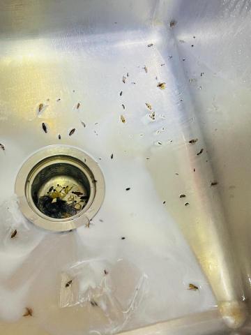 昌盛消毒有限公司 - 