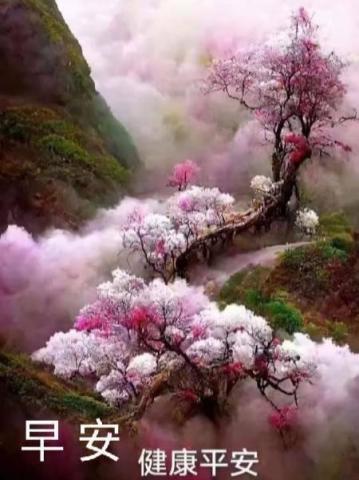 小豬繪畫工坊 - 自然之美