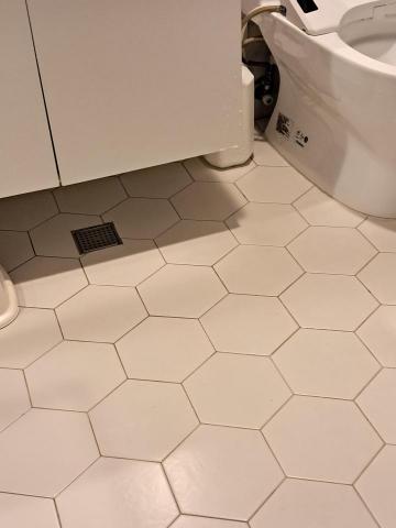 沈小姐 - 廁所磁磚清潔刷洗清潔