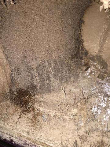 富森環保服務有限公司 - 