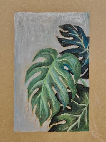 Daisy老師 - 成人蠟筆