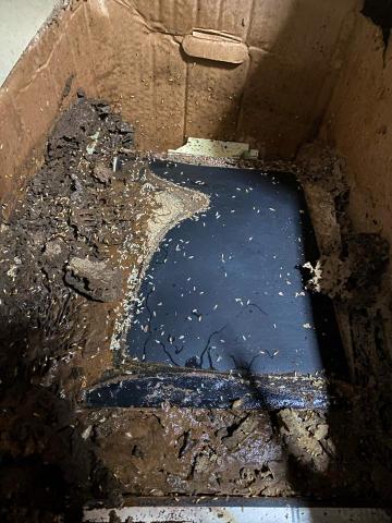 富森環保服務有限公司 - 