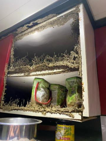 富森環保服務有限公司 - 