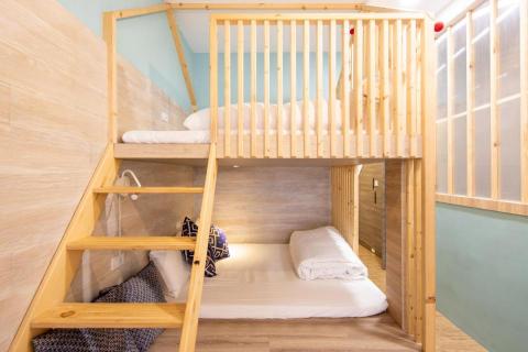 牧羊犬攝影 - 民宿空間攝影