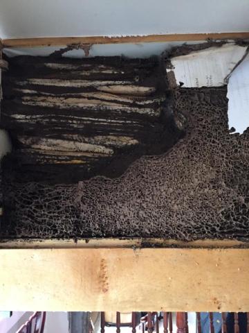 富森環保服務有限公司 - 