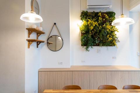 牧羊犬攝影 - 民宿空間攝影