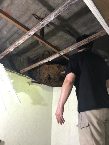 富森環保服務有限公司 - 