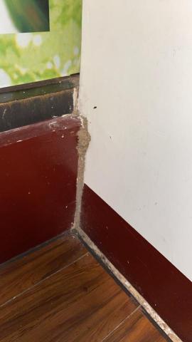 富森環保服務有限公司 - 