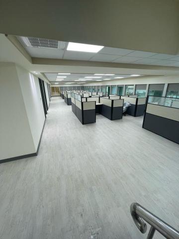 左手油漆 - 辦公室粉刷