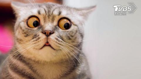 打字兼職 - 我還沒有任何一個可以讓我展示的東西...