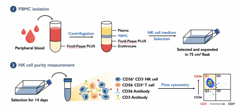 劉祐榛 - 流程圖繪製 - 電繪、手繪