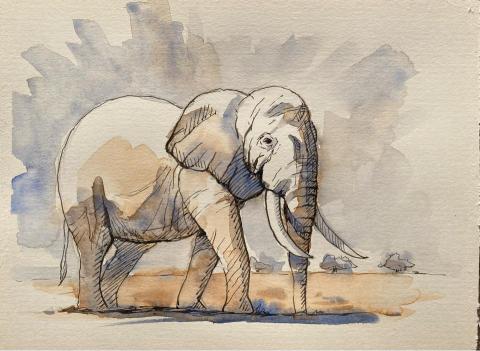 Jasmine老師 - 鋼筆、淡彩速寫