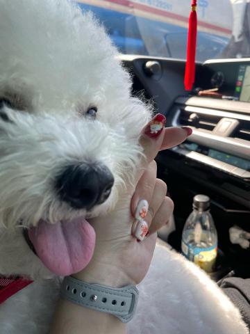 芙妮指尖紋學坊 - 