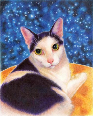 林融駿 - mr. Chaku