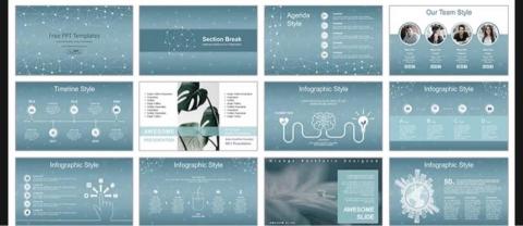 蔡宇筑 -  蔡宇筑 -