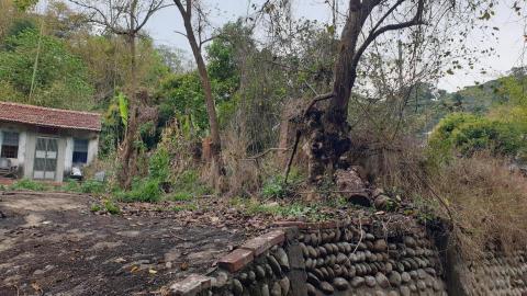 原田工程行 - 除草整地（前）