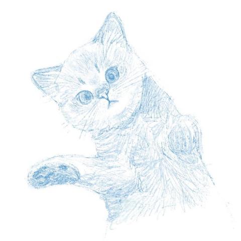 AndieYing - 單色寵物似顏繪