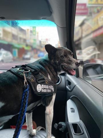 EC - 媽咪要多賺錢錢