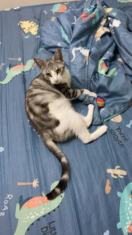 EC - 過得很安逸已經長大了