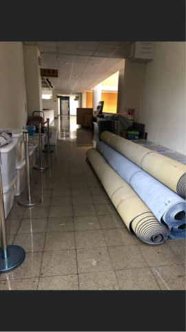 金馬來搬家 - 拆除內移