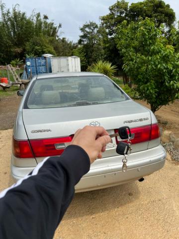 圓晨汽車晶片鑰匙 - 