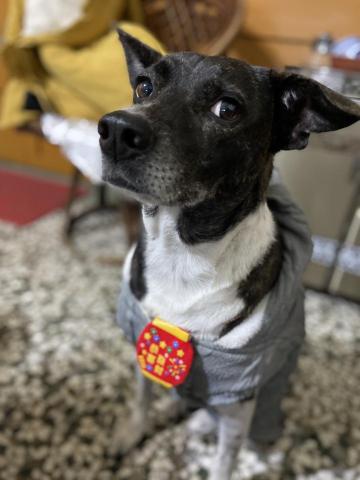 EC - 很可愛很ㄎㄧㄤ