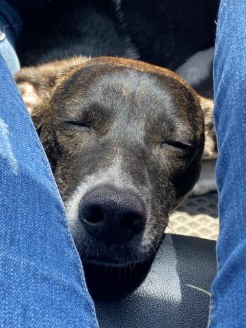 EC - 多賺錢小花才能安心睡覺