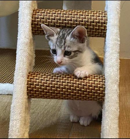 EC - 這是剛到我家的時候