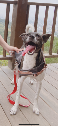 EC - 喜歡出去玩又很膽小