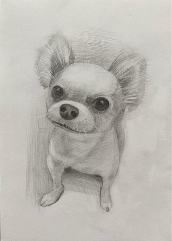 Jasmine老師 - 鉛筆素描