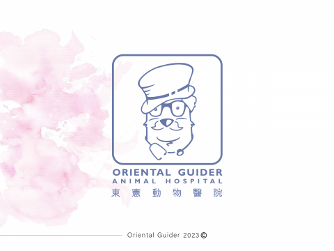 Justastudio - 東憲動物醫院_LOGO商標設計