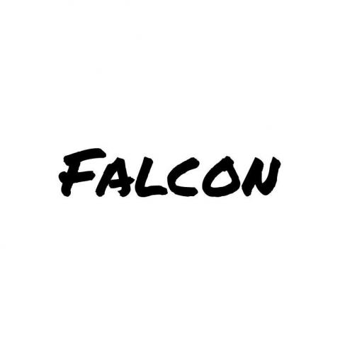 提供刻印字體服務的專家Falcon手寫