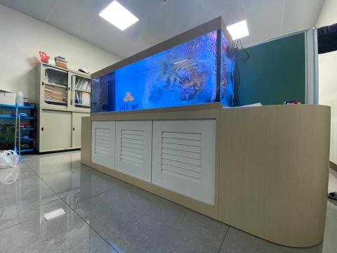 森湖水族-進口紅龍-訂做魚缸 - 客戶訂製魚缸