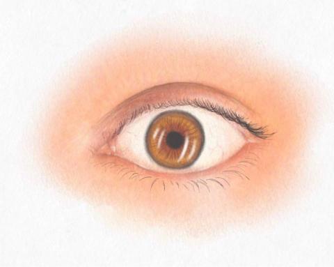 Karherine - 電腦繪圖