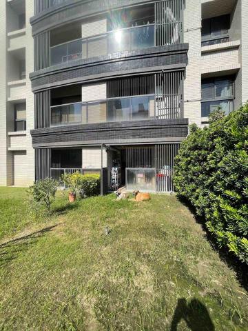 Nia-紀選 - ?讓毛孩享受日光浴?！