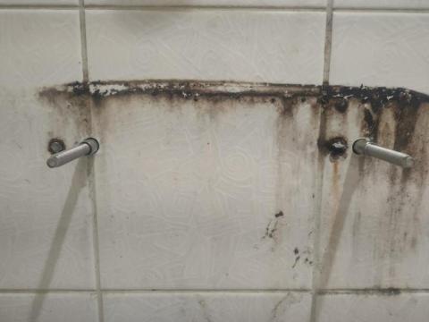 仁水水電工作室 - 面盆白鐵壁虎 更換 仁水水電工作室 - 面盆白鐵壁虎 更換