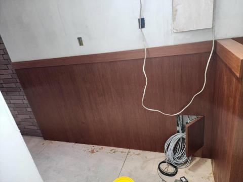 林奉青 - 完成圖/不怕水腐爛