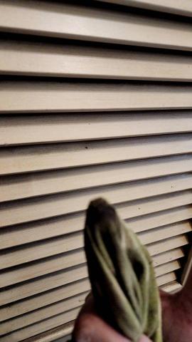 林奉青 - 油污清潔