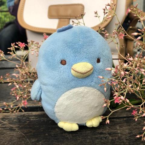 提供54服務的專家賴佳筠